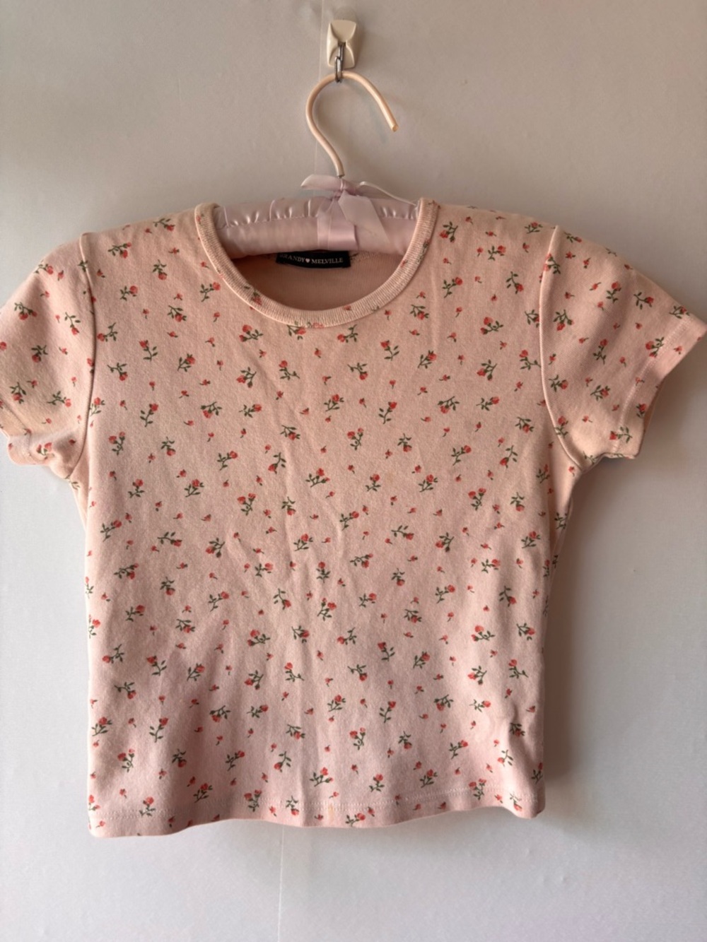 Brandy Melville Floral Baby Tee Pink Coquette Dollette